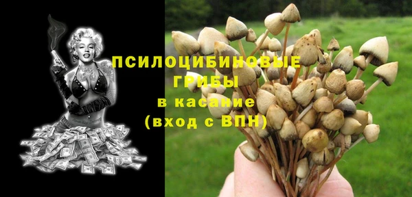 дмт Арсеньев
