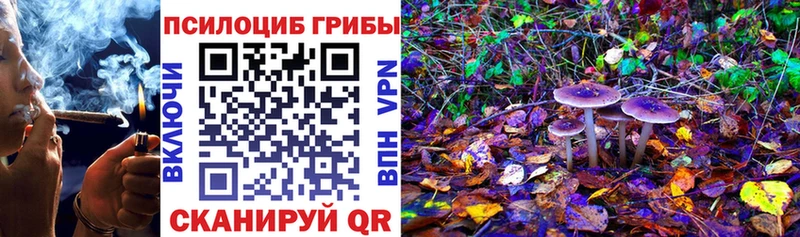 Галлюциногенные грибы Psilocybine cubensis  закладка  OMG маркетплейс  Лагань 